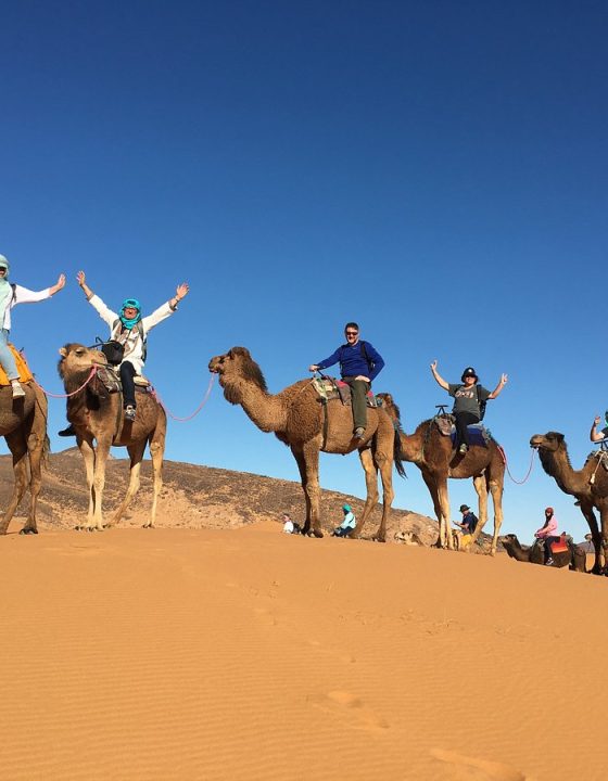 agadir-camel-tour agadir-camel-tour
