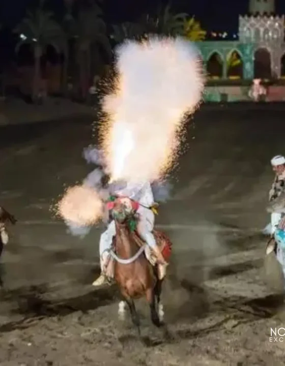 dinner-show-fantasia-chez-ali-marrakech-horse dinner-show-fantasia-chez-ali-marrakech-horse